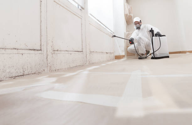 24/7 Emergency Mold Removal experts in Upperville, VA